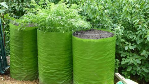 Drei große grüne Säcke stehen im Garten, gefüllt mit Erde und Pflanzen, die hochbeetähnliche Strukturen bilden.