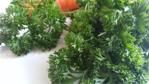 Frische Kräuter, wie Petersilie, liegen neben einer Karotte auf einem hellen Untergrund und wirken einladend für Küchenkräuter-Anbauer.