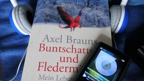 Ein aufgeschlagenes Buch mit Kopfhörern und einem MP3-Player zeigt den unbeschwerten Genuss von Hörbüchern.