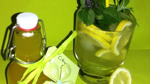 Ein Glas Limonade mit Zitrone und Minze steht neben einer Flasche Haus-Limo-Konzentrat auf einem hellgrünen Hintergrund.