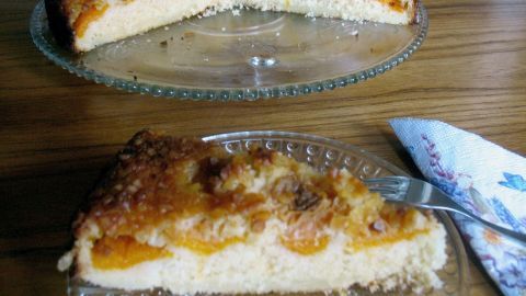 Eine saftige Aprikosen-Kokos-Mandel-Torte auf einer Glastorteplatte, mit einem Stück auf einem Teller, präsentiert in einer gemütlichen Umgebung.