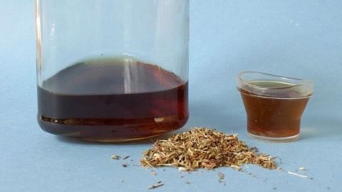 Ein Glas mit dunklem Flüssigkeit und ein kleiner Becher daneben, um Kräuterextrakt zur Unterstützung bei AMD zu zeigen.