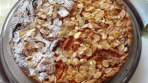 Ein Aprikosen-Mandelkuchen liegt auf einem silbernen Teller und wird von mandelartigen Stückchen und Puderzucker umgeben.