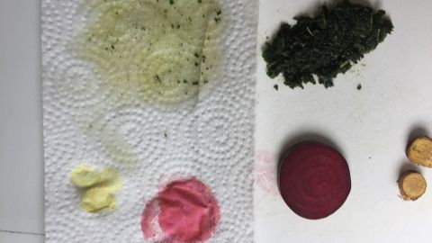 Naturfarben aus Lebensmitteln zeigen verschiedene pflanzliche Farben auf Küchenpapier, darunter grün, rot und gelb.