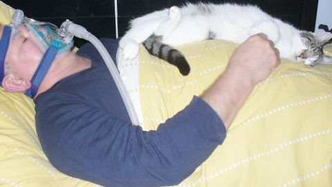 Ein Mann schläft mit einer CPAP-Maske, während eine Katze neben ihm auf dem Bett liegt, umgeben von einer gelben Decke.