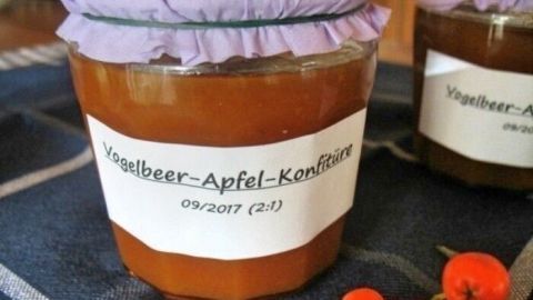 Ein Glas Vogelbeer-Apfel-Konfitüre steht auf einem Tisch, umgeben von blauer Tischdecke und frischen Vogelbeeren.