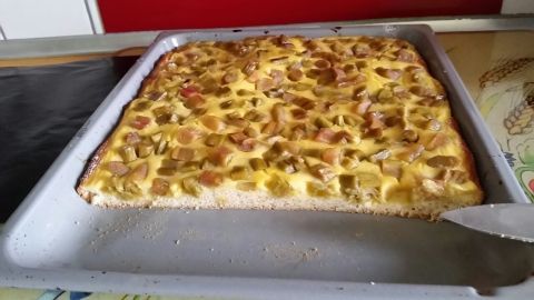 Ein frisch gebackener Rhabarberkuchen mit Hefeteig und Vanillepudding liegt auf einem Blech in einer Küche.