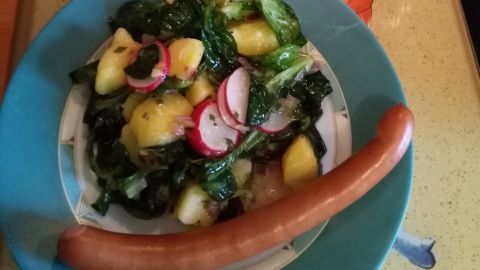 Ein Teller Kartoffelsalat mit Radieschen und grünen Blättern, daneben liegt eine Wurst auf einem blauen Teller.