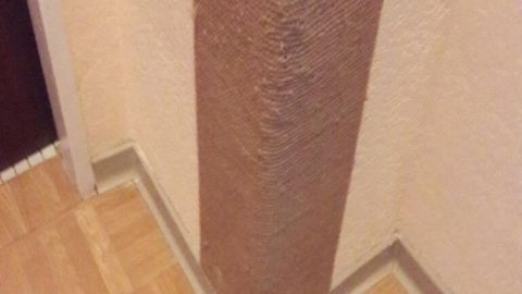 Ein Kratzbrett steht in einer Wohnungsecke aus Kork und bietet Katzen eine Möglichkeit zum Kratzen.