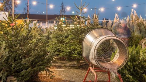 Ein Weihnachtsbaum steht im Vordergrund, während eine Maschine ihn für den Verkauf vorbereitet, um ihn erlebbar zu machen.