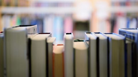 Reihen von Bücher stehen auf einem Regal, während im Hintergrund unscharfe Bücher sichtbar sind, was auf eine Bibliothek hinweist.