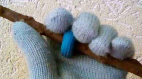 Eine Hand in einem grauen Handschuh hält einen Stock mit einer blauen und zwei weißen Kugeln, um den Hund sicher zu führen.