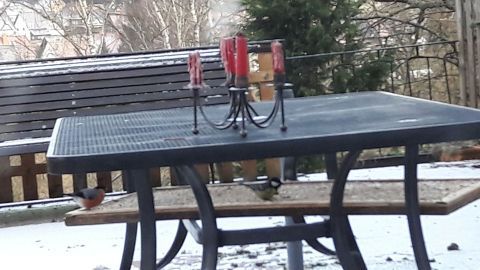 Ein schwarzer Balkontisch steht im Schnee, auf dem Vogelplatz befüllt mit Futter und umgeben von Bäumen im Hintergrund.
