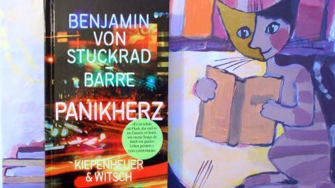 Ein Buch mit dem Titel „Panikherz“ steht neben einer farbenfrohen Zeichnung, die eine Figur mit einem Buch zeigt.