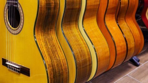 Helle Gitarren stehen in einer Reihe, bereit für den Kauf. Sie sind ideal für Anfänger und Kinder, die Gitarre lernen möchten.