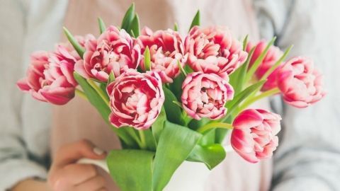 Eine Person hält eine weiße Vase mit rosa Tulpen, die frisch arrangiert sind, in einem hellen Raum.