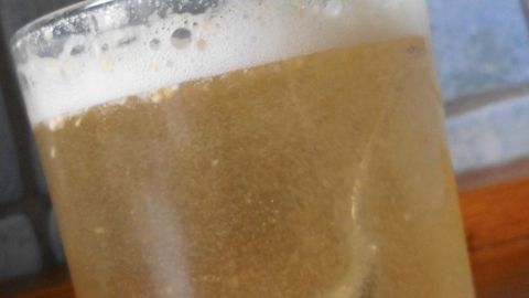 Ein Glas mit selbst gemachter Brause zeigt ein sprudelndes Getränk, das auf einem Holztisch steht, umgeben von blauen Fliesen.