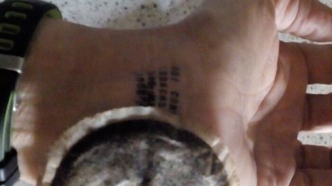 Stempelfarbe kann man leicht mit Kaffee entfernen. Einfach mit einem benutzten warmen Kaffeepad über den Stempel wischen, fertig. Auf einer Hand liegt ein großer, grauer Schwamm, während die Hand mit Stempelfarbe verunreinigt ist.