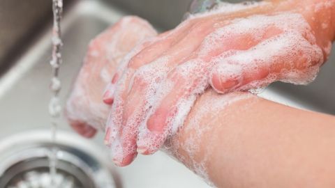 Hände mit Seife werden gründlich gewaschen, um Zwiebel- und Knoblauchgeruch zu entfernen, vor einem Spülbecken.