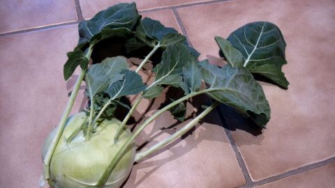 Ein Kohlrabi mit frischen Blättern liegt auf einem Fliesenboden und zeigt die verwertbaren Teile des Gemüses.