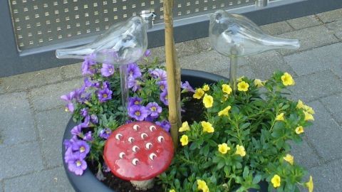 Gläserne Blumen-Wasserspender sind dekorativ und umgeben von bunten Blumen in einem Pflanzgefäß, das auf einem Gehweg steht.