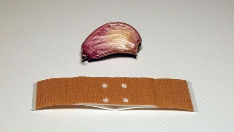 Knoblauchzehe liegt neben einem Pflaster auf einer weißen, strukturierten Oberfläche, geeignet für Warzenbehandlung.