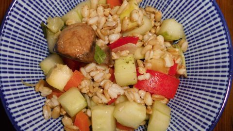 Eine Schüssel mit buntem Salat aus ganzen Haferkörnern, frischen Gemüsestücken und einer kleinen Portion Fleisch im Mittelpunkt.