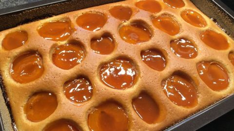 Ein frisch gebackener Marillenkuchen liegt in einer Backform, überzogen mit Aprikosenmarmelade in runden Vertiefungen.