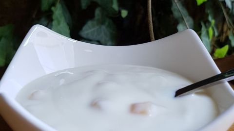 Eine Schüssel Joghurt mit einem Löffel steht auf einem Holzuntergrund, umgeben von grünen Pflanzen.