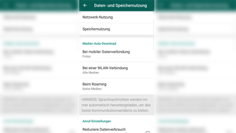Die Einstellungen für WhatsApp zeigen Optionen zur Speicherplatzverwaltung. Nutzer können automatische Downloads deaktivieren.