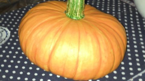 Ein runder, orangefarbener Kürbis steht auf einem gepunkteten Tisch. Die Stängelspitze ist grün und aufrecht.