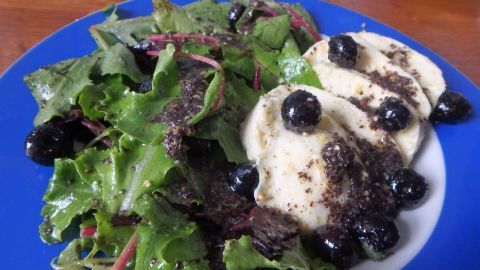 Frischer Wildsalat mit Mozzarella und Blaubeeren, angerichtet auf einem blauen Teller, umhüllt von grünen Blättern und Mohndressing.