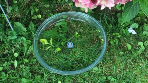 Eine runde Vogeltränke liegt auf dem Gras, während eine Blume im Hintergrund blüht. Die Tränke ist bereit für Tiere.