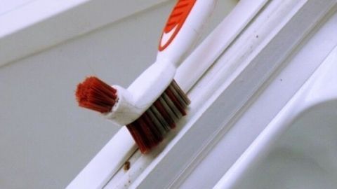 Oft übersieht man beim Putzen des Kühlschranks die Gummidichtung. Ich nehme eine alte Zahnbürste und hole damit die Schmutzteilchen raus. Geht schnell und man staunt, was da alles rauskommt! Eine Bürste reinigt die Dichtung eines Kühlschranks, während sie auf einem weißen Untergrund steht.
