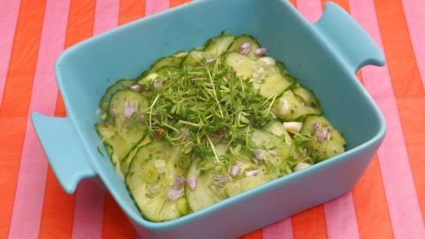 In einer blauen Schüssel liegen frisch zubereitete Schnellgurken, garniert mit Kräutern, auf einem gestreiften Tisch.