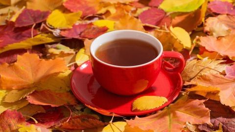 Eine rote Tasse mit heißem Tee steht auf einem Unterteller, umgeben von bunten Herbstblättern.