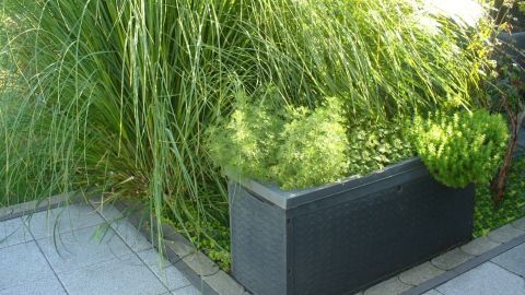 Ein Hochbeet aus einer Auflagenbox steht auf einem gepflasterten Boden, umgeben von üppigen, grünen Pflanzen.