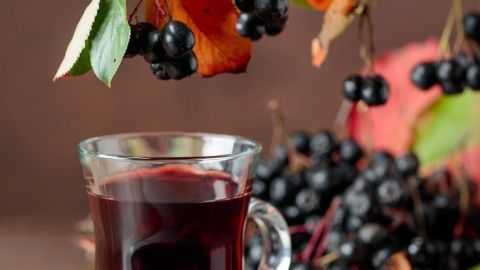 Ein Glas herbstlicher Likör mit Holunderbeeren und Schlehen steht vor buntem Laub und dunklen Beeren auf einem rustikalen Tisch.