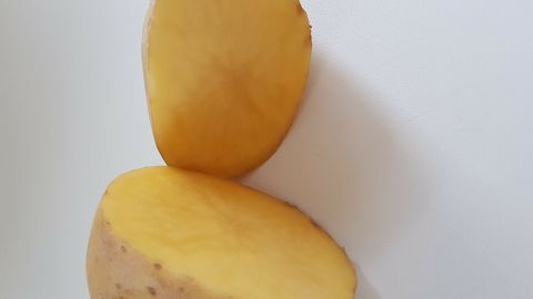 Eine Kartoffel liegt auf einem weißen Untergrund, halbiert, um ihre gelbe Innenseite zu zeigen. Sie könnte gegen Rostflecken helfen.