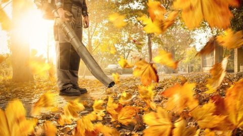 Ein Laubbläser entfernt leuchtend orangefarbene Blätter in einer herbstlichen Landschaft mit warmem Sonnenlicht.