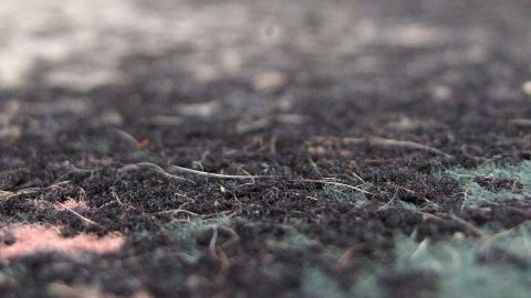 Tierhaare liegen auf einem dunklen Teppich, auf dem verschiedene Farben erkennbar sind.