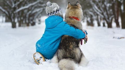 Ein Kind in blauer Winterkleidung umarmt einen Hund im Schnee, umgeben von schneebedeckten Bäumen im Winter.