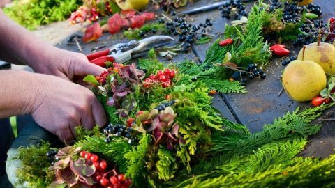 Hände arbeiten an einem Arrangement aus frischen Pflanzen und Früchten auf einem Tisch, um den Harz zu entfernen.