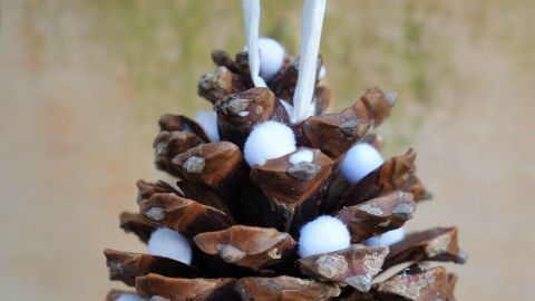 Baumschmuck: Pinienzapfen mit Schneeflöckchen