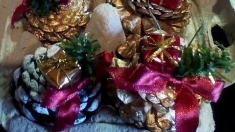 In einer Kartonverpackung stehen festliche, dekorierte Tannenzapfen, die Weihnachten repräsentieren und aufbewahrt werden.