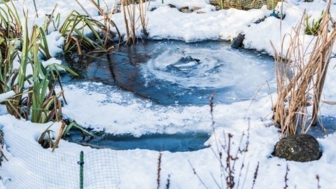 Zugefrorener See oder Teich: Trinkstelle für Tiere schaffen
