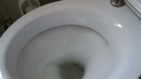 Eine Hand reinigt eine Toilette mit einem Reinigungstuch. Der Raum hat Fliesen und einen Mülleimer im Hintergrund.