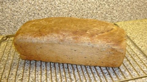 Ein frisch gebackenes, kräftiges Toastbrot liegt auf einem Kühlgitter in einer Küchenumgebung mit einer Steinarbeitsplatte.