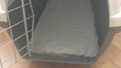 Ein rutschfestes Kissen liegt in einem Katzen-Transportkorb, der offen ist, auf einem Holzfußboden.