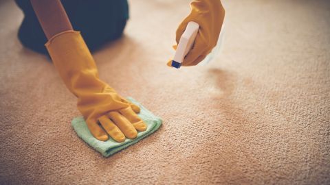 Eine Hand mit gelben Handschuhen reinigt einen Teppich mit einem Tuch, während ein Spray auf den Fleck gesprüht wird.
